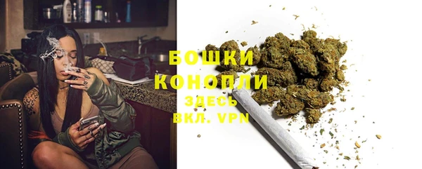 стаф Аша