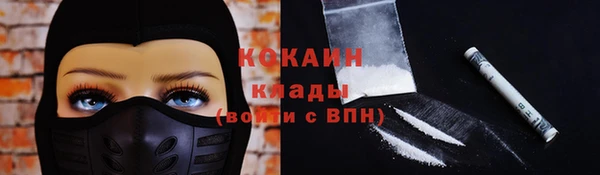 трава Белокуриха