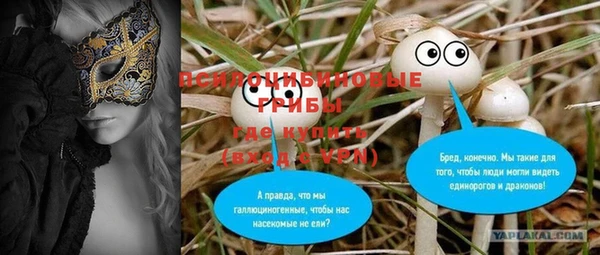 амф Надым