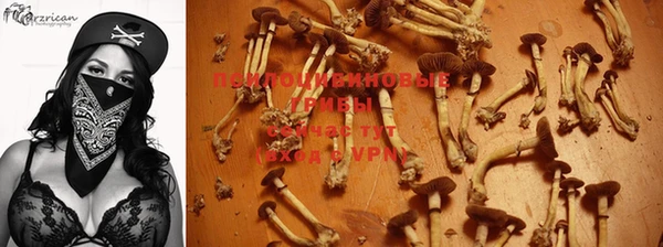 прущие крисы Навашино