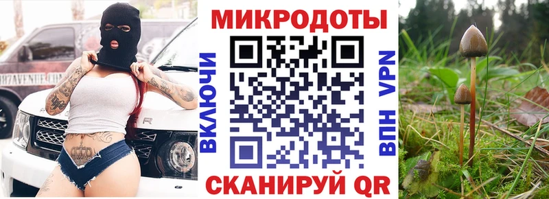 кракен рабочий сайт  закладка  Куйбышев  Галлюциногенные грибы Cubensis 