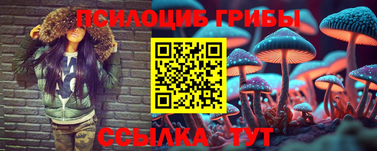 Псилоцибиновые грибы Psilocybe Куйбышев