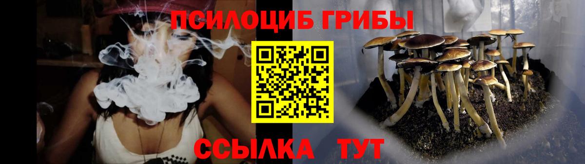 где можно купить   Галлюциногенные грибы Cubensis  Вход с VPN  Куйбышев 